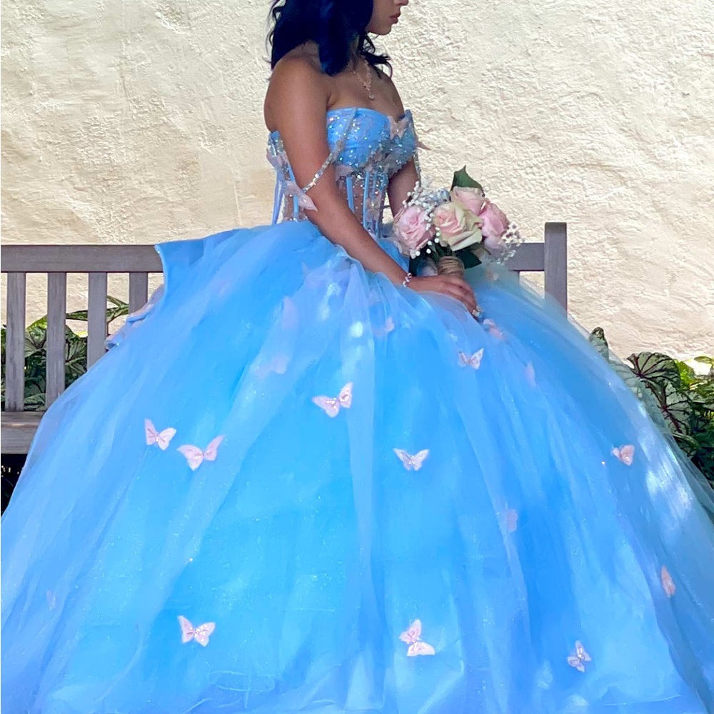 Quinceanera dress